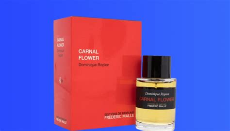 perfume similar to carnal flower